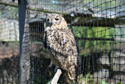 World of Birds Wildlife Sanctuary.